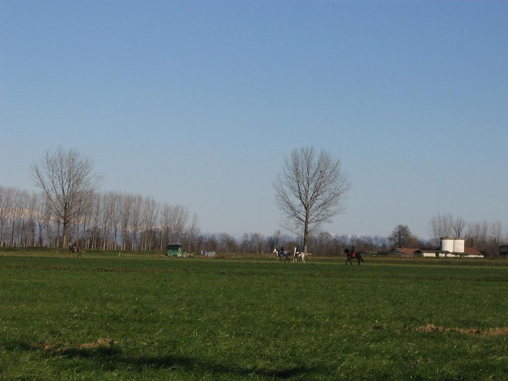 Spino d'Adda Agriturismo Cascina Gilliヴィラ エクステリア 写真